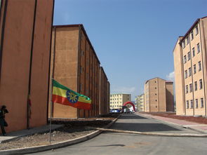 秸秆变环保建材 抗震又防火的建筑黑科技