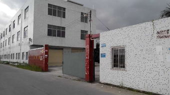 广州安德斯防水建材厂 建筑防水领域的可靠伙伴